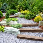 Thiết kế lối đi trong sân vườn bằng đá cuội đá sỏi cỏ và nước đơn giản
